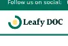 Leafy DOC