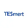 TESmert Logo
